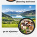 High Definition 10-300X Zoom Portable Binocular Telescope Mobile shop